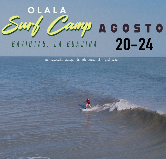 Gaviotas 2 Gaviotas 2