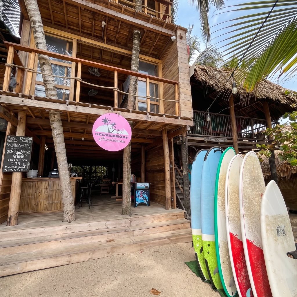 Selva & Surf 3 Selva & Surf 3